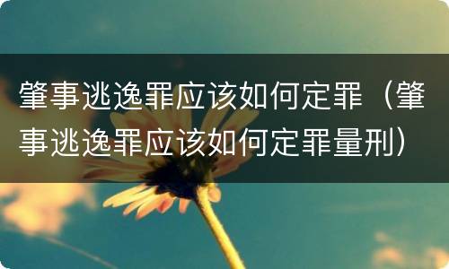 肇事逃逸罪应该如何定罪（肇事逃逸罪应该如何定罪量刑）
