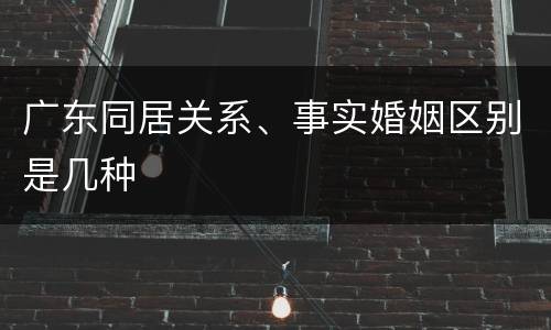 广东同居关系、事实婚姻区别是几种