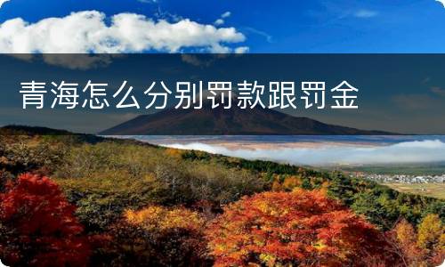 青海怎么分别罚款跟罚金