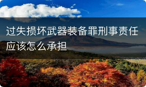 过失损坏武器装备罪刑事责任应该怎么承担