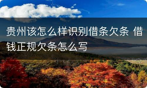 贵州该怎么样识别借条欠条 借钱正规欠条怎么写