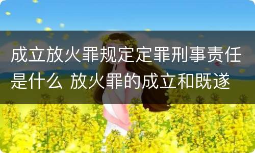 成立放火罪规定定罪刑事责任是什么 放火罪的成立和既遂