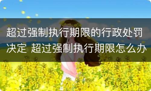 超过强制执行期限的行政处罚决定 超过强制执行期限怎么办