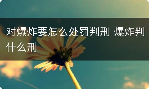 对爆炸要怎么处罚判刑 爆炸判什么刑