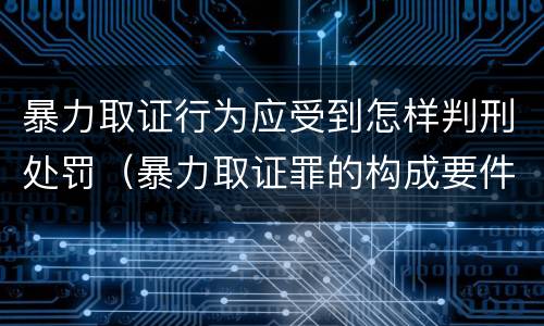 暴力取证行为应受到怎样判刑处罚（暴力取证罪的构成要件）