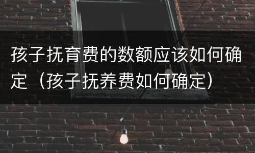 孩子抚育费的数额应该如何确定（孩子抚养费如何确定）