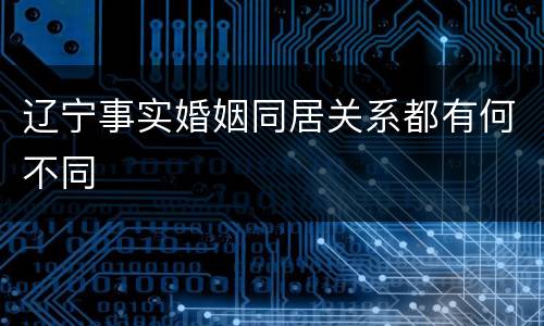 辽宁事实婚姻同居关系都有何不同