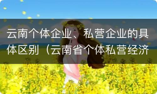 云南个体企业、私营企业的具体区别（云南省个体私营经济协会）