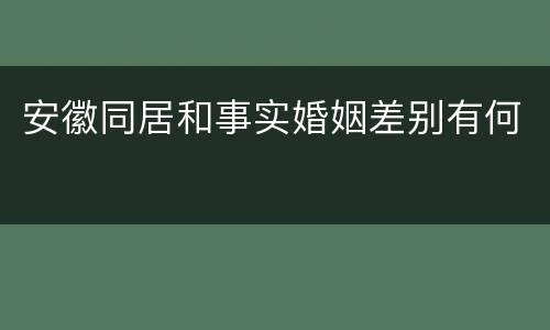 安徽同居和事实婚姻差别有何