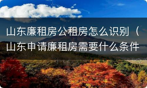 山东廉租房公租房怎么识别（山东申请廉租房需要什么条件）