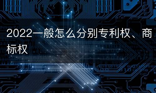2022一般怎么分别专利权、商标权