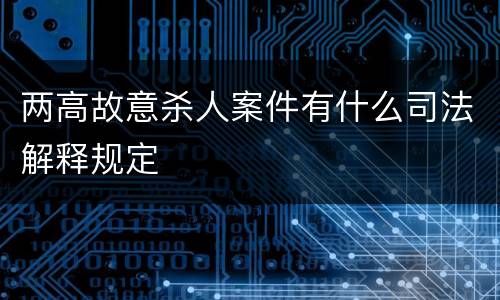 两高故意杀人案件有什么司法解释规定
