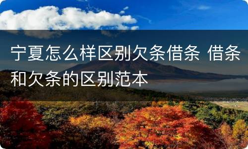 宁夏怎么样区别欠条借条 借条和欠条的区别范本