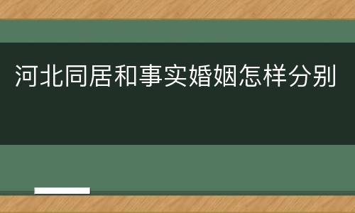 河北同居和事实婚姻怎样分别