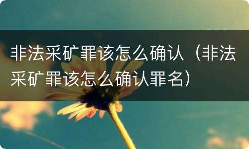 非法采矿罪该怎么确认（非法采矿罪该怎么确认罪名）
