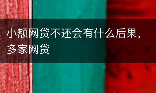 小额网贷不还会有什么后果，多家网贷