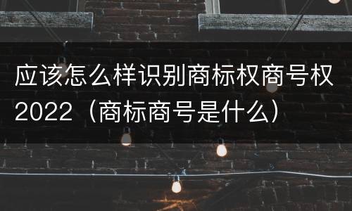应该怎么样识别商标权商号权2022（商标商号是什么）
