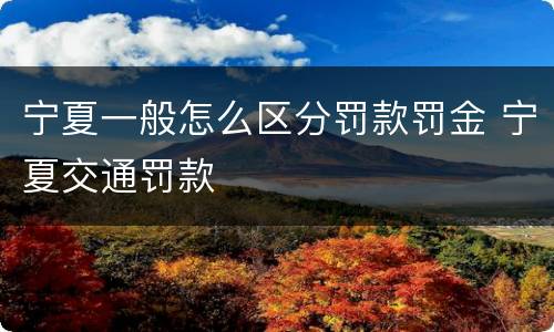 宁夏一般怎么区分罚款罚金 宁夏交通罚款