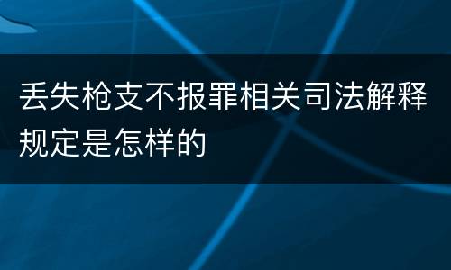 丢失枪支不报罪相关司法解释规定是怎样的