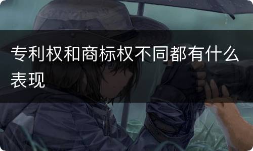 专利权和商标权不同都有什么表现
