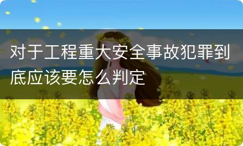 对于工程重大安全事故犯罪到底应该要怎么判定
