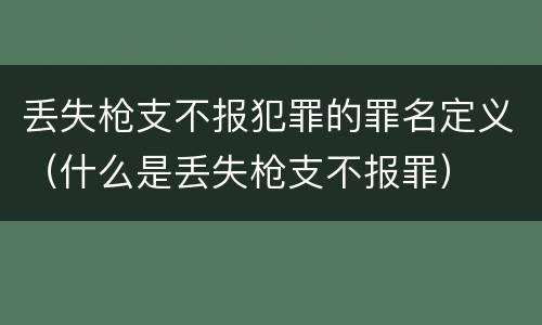 丢失枪支不报犯罪的罪名定义（什么是丢失枪支不报罪）