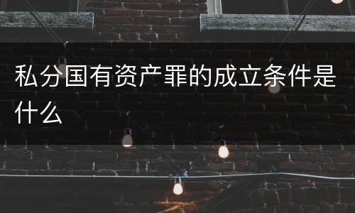 私分国有资产罪的成立条件是什么