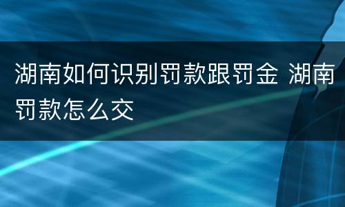 湖南如何识别罚款跟罚金 湖南罚款怎么交