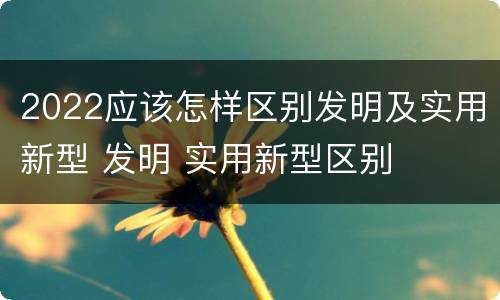 2022应该怎样区别发明及实用新型 发明 实用新型区别