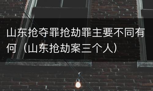 山东抢夺罪抢劫罪主要不同有何（山东抢劫案三个人）
