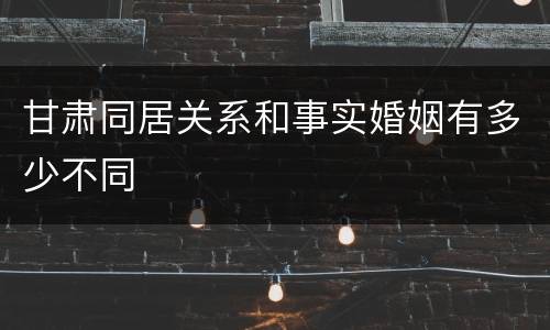 甘肃同居关系和事实婚姻有多少不同