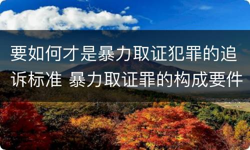 要如何才是暴力取证犯罪的追诉标准 暴力取证罪的构成要件