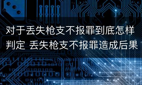 对于丢失枪支不报罪到底怎样判定 丢失枪支不报罪造成后果