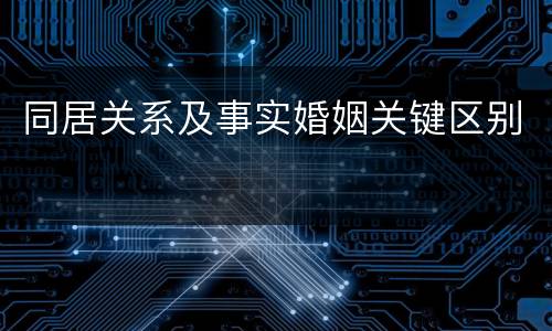 同居关系及事实婚姻关键区别