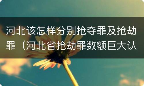 河北该怎样分别抢夺罪及抢劫罪（河北省抢劫罪数额巨大认定标准）