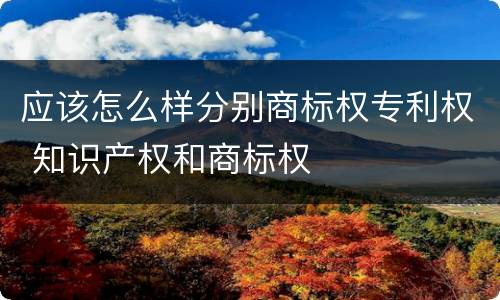 应该怎么样分别商标权专利权 知识产权和商标权