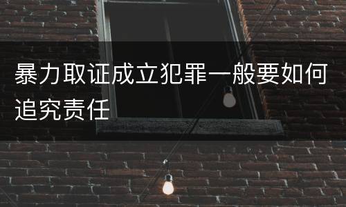 暴力取证成立犯罪一般要如何追究责任