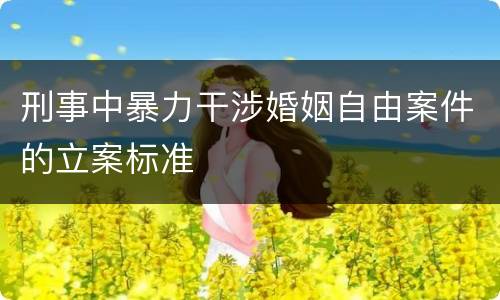 刑事中暴力干涉婚姻自由案件的立案标准