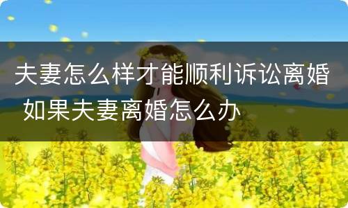 夫妻怎么样才能顺利诉讼离婚 如果夫妻离婚怎么办