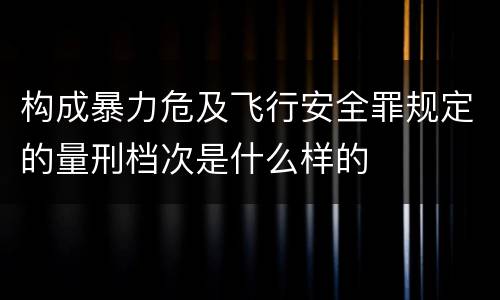 构成暴力危及飞行安全罪规定的量刑档次是什么样的