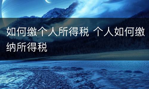 如何缴个人所得税 个人如何缴纳所得税