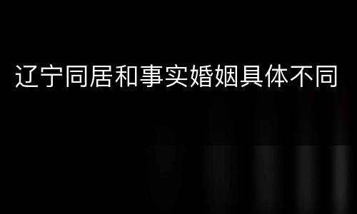 辽宁同居和事实婚姻具体不同