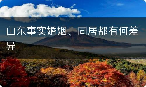 山东事实婚姻、同居都有何差异