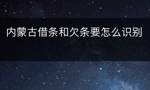 内蒙古借条和欠条要怎么识别
