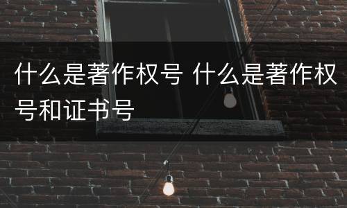 什么是著作权号 什么是著作权号和证书号