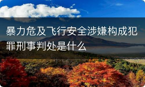 暴力危及飞行安全涉嫌构成犯罪刑事判处是什么
