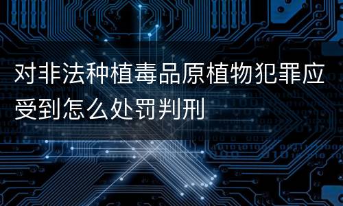 对非法种植毒品原植物犯罪应受到怎么处罚判刑