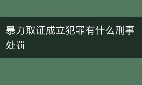 暴力取证成立犯罪有什么刑事处罚