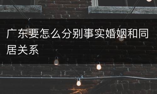 广东要怎么分别事实婚姻和同居关系