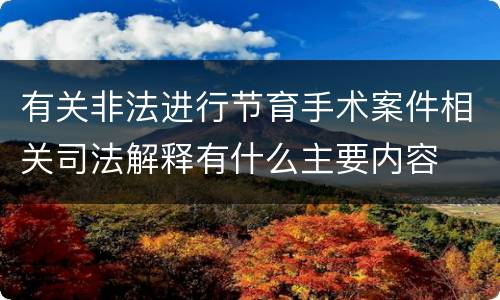 有关非法进行节育手术案件相关司法解释有什么主要内容